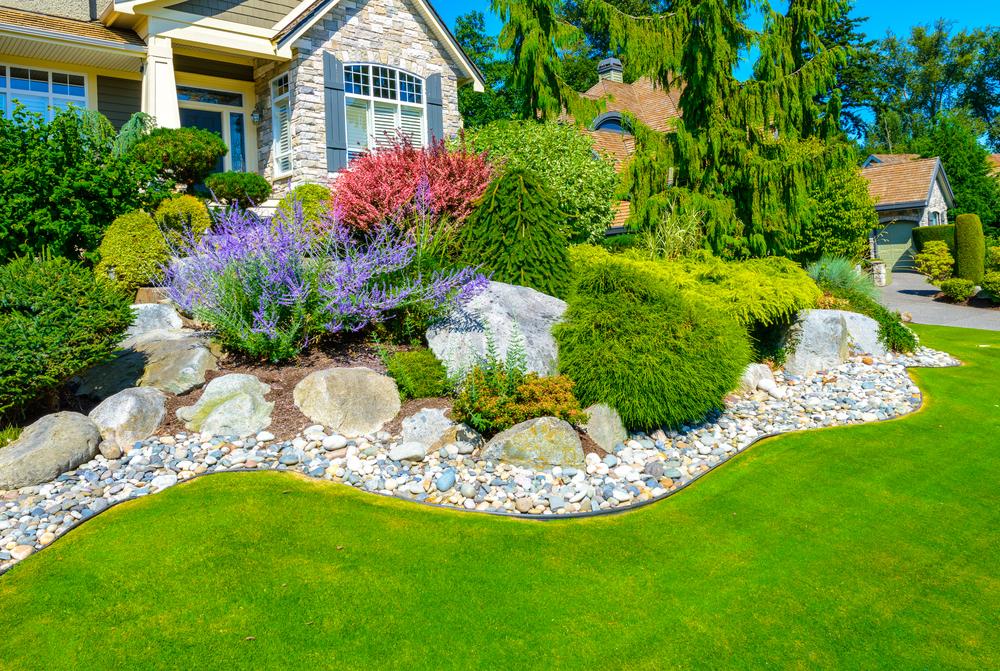 Rock Garden